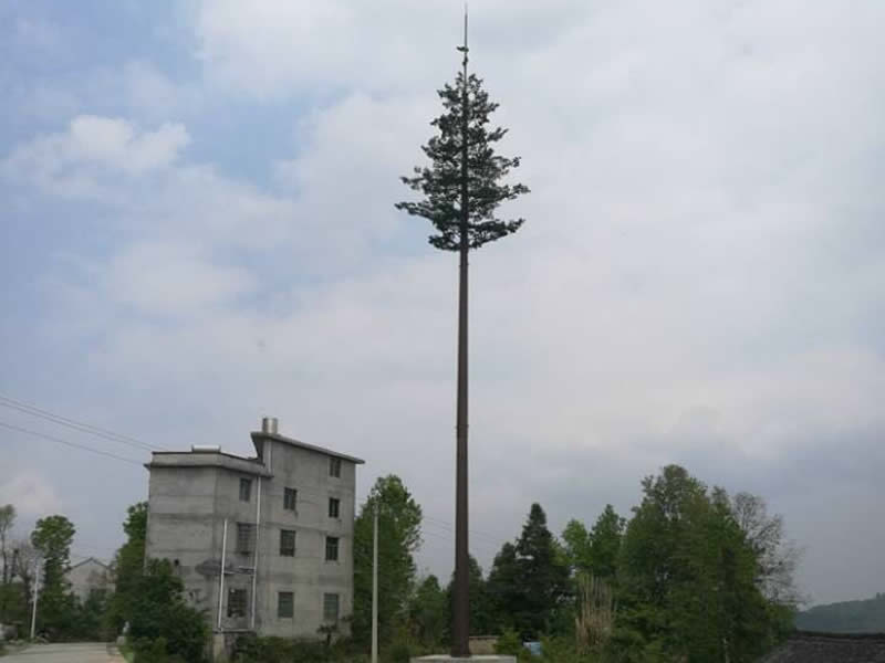 防生樹避雷針